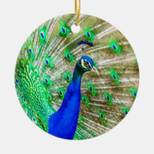 Peacock Plumage Keramik Ornament