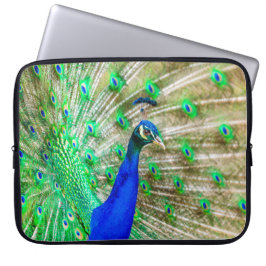 Peacock Plumage Laptopschutzhülle