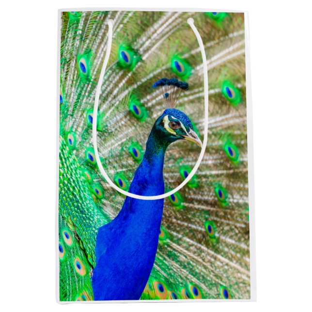 Peacock Plumage Mittlere Geschenktüte (Vorderseite)
