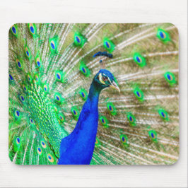 Peacock Plumage Mousepad