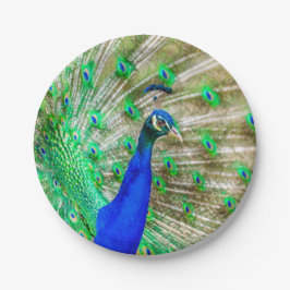 Peacock Plumage Pappteller