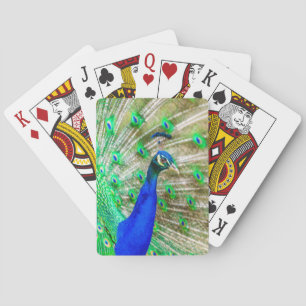 Peacock Plumage Spielkarten