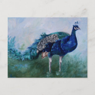 Peacock Postcard Postkarte