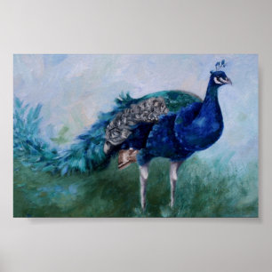 Peacock Poster