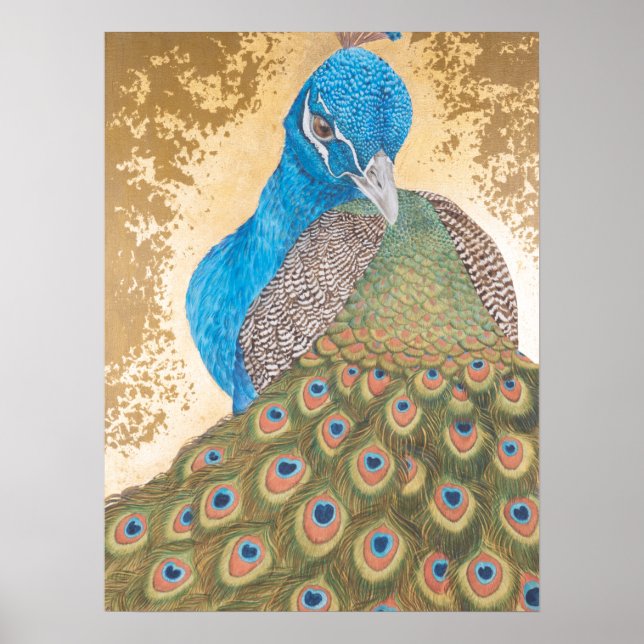 Peacock Poster (Vorne)
