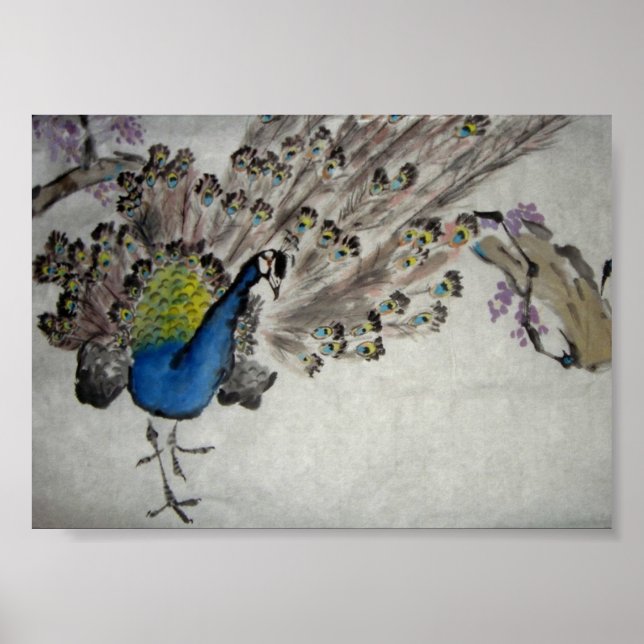 Peacock Poster (Vorne)