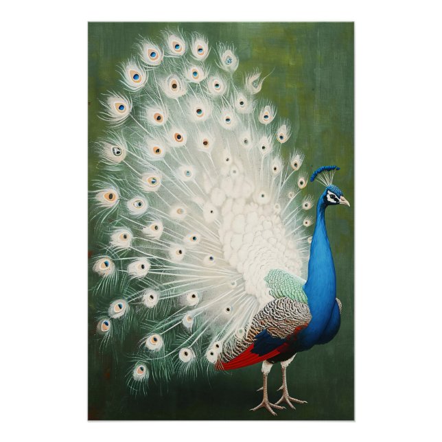 Peacock Poster (Vorderseite)