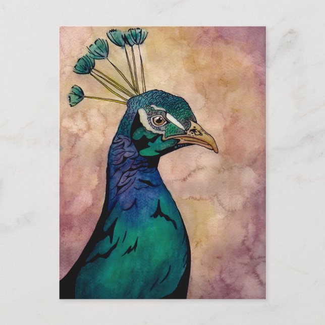 Peacock Postkarte (Vorderseite)