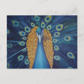 Peacock Postkarte