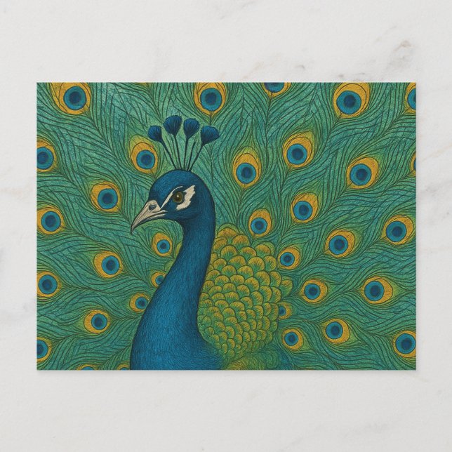 Peacock Postkarte (Vorderseite)