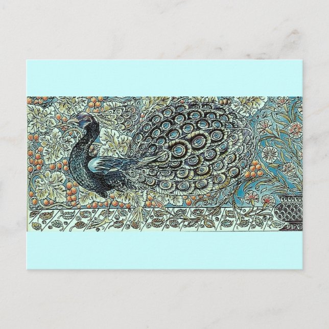 Peacock Postkarte (Vorderseite)