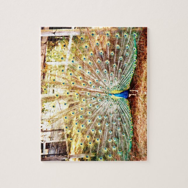 Peacock Puzzle (Vertikal)