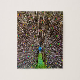 Peacock Puzzle