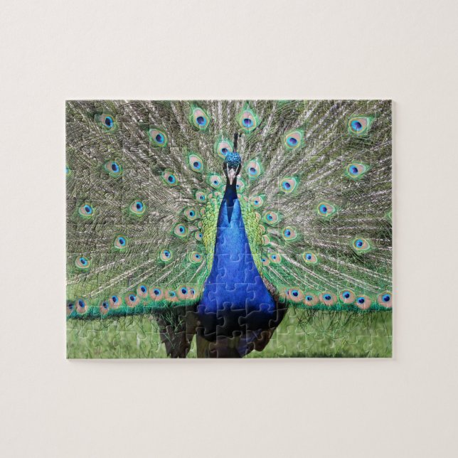 Peacock Puzzle (Horizontal)