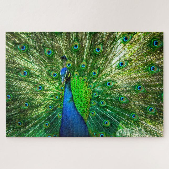 Peacock Puzzle (Horizontal)