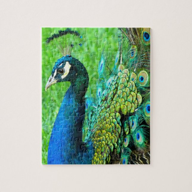 Peacock Radiance Puzzle (Vertikal)
