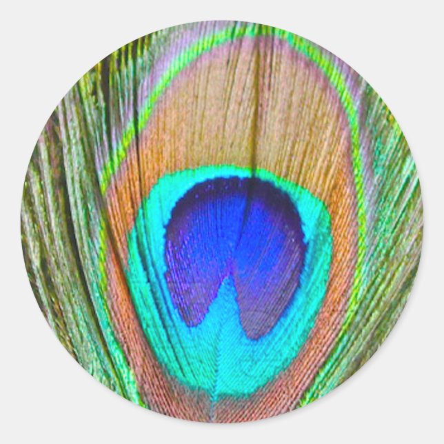 Peacock Runder Aufkleber (Vorderseite)
