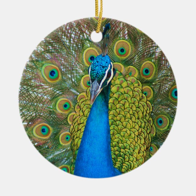 Peacock S9K.jpg Keramikornament (Vorne)