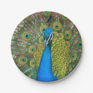 Peacock S9K.jpg Pappteller