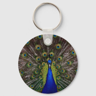 Peacock Schlüsselanhänger