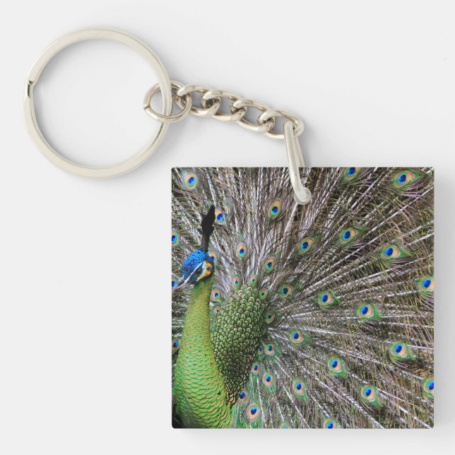 Peacock Schlüsselanhänger (Vorderseite)