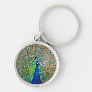 Peacock-Schlüsselanhänger Schlüsselanhänger