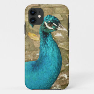 Peacock Schöne Naturfotografie Case-Mate iPhone Hülle