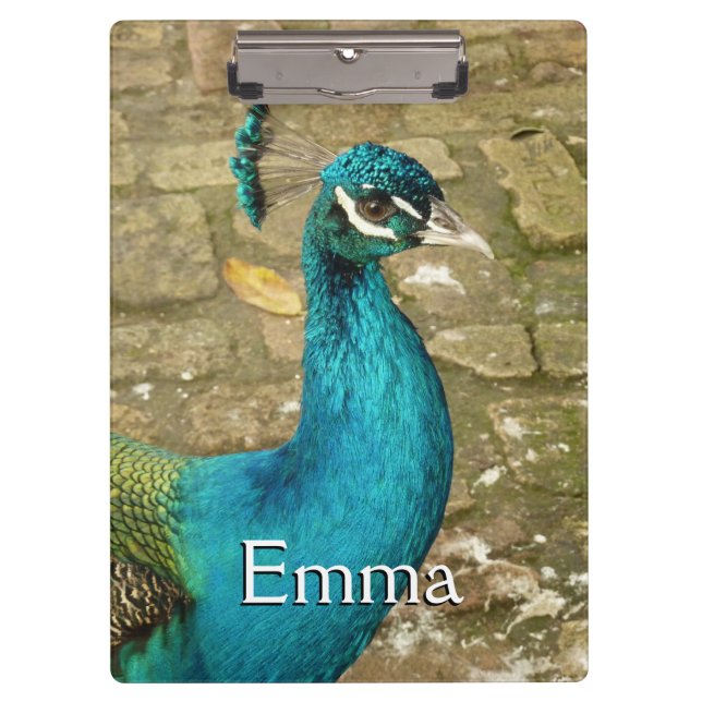 Peacock Schöne Naturfotografie Klemmbrett (Vorderseite)