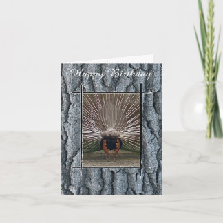 PEACOCK SCHWANZ BÄUME BARK GLÜCKLICH BIRTHDAKARTE KARTE