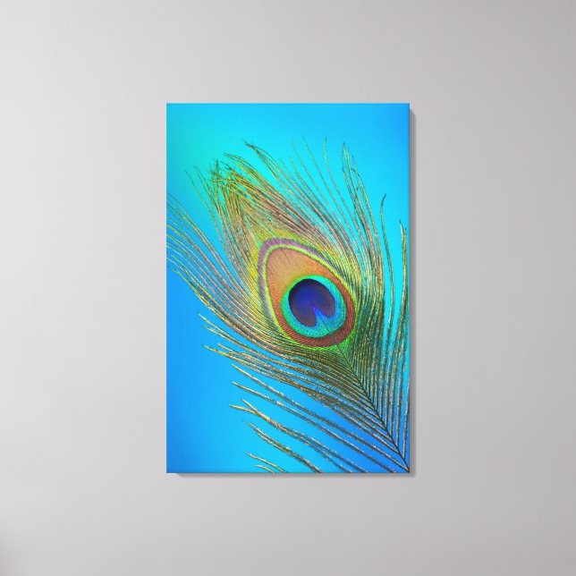 Peacock Schwanz Feather Leinwanddruck (Vorderseite)