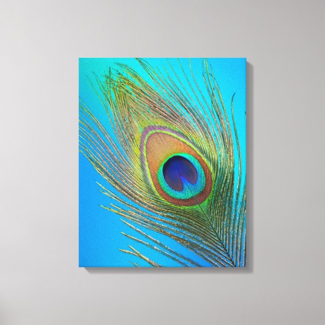 Peacock Schwanz Feather Leinwanddruck (Vorderseite)