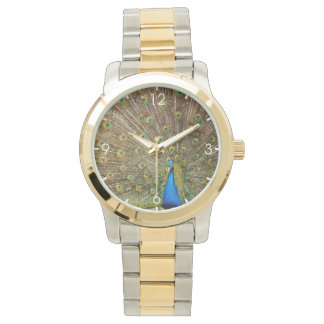 Peacock Schwanz Feathers Armbanduhr