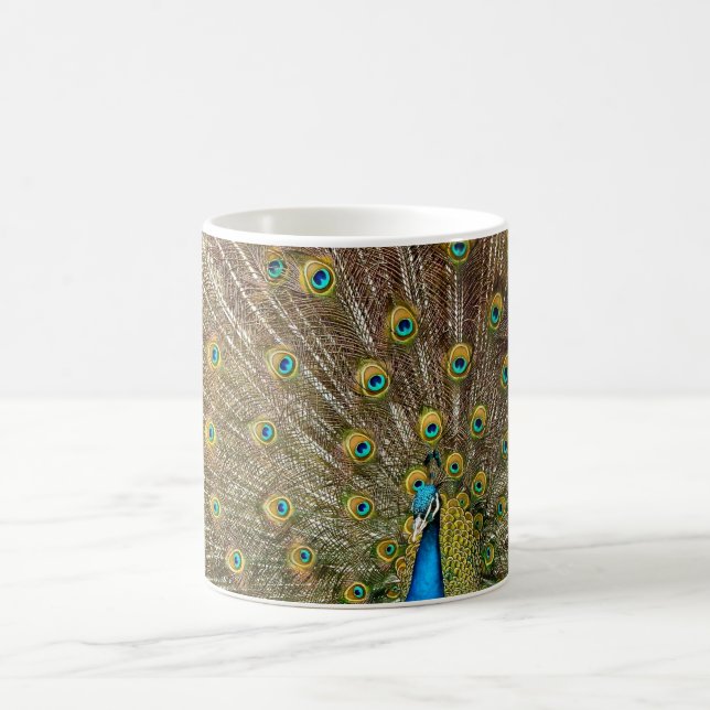 Peacock Schwanz Feathers Kaffeetasse (Mittel)