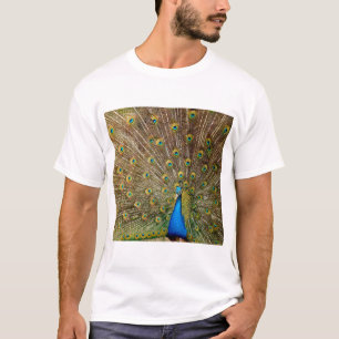 Peacock Schwanz Feathers T-Shirt