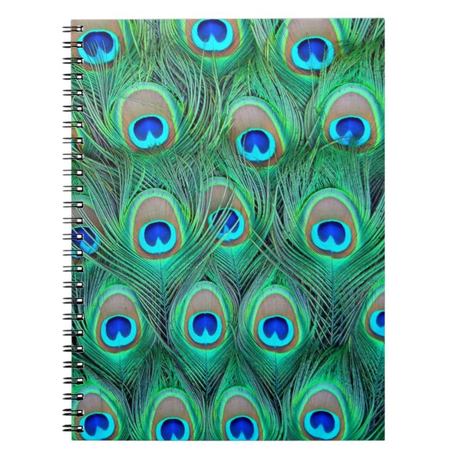 Peacock Splendor Notizblock (Vorderseite)