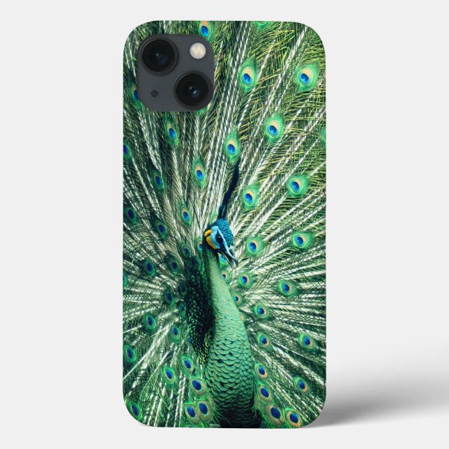 Peacock Strut Case-Mate iPhone Hülle (Rückseite)