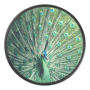 Peacock Strut Eishockey Puck