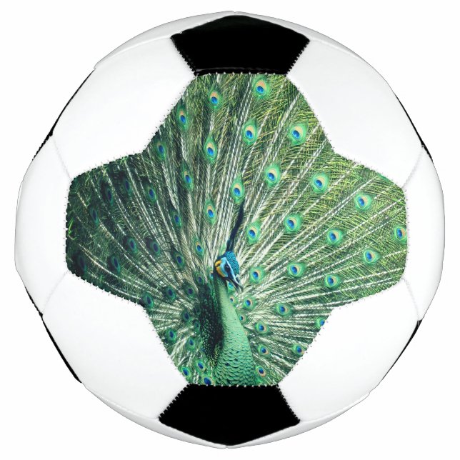 Peacock Strut Fußball (Vorderseite)