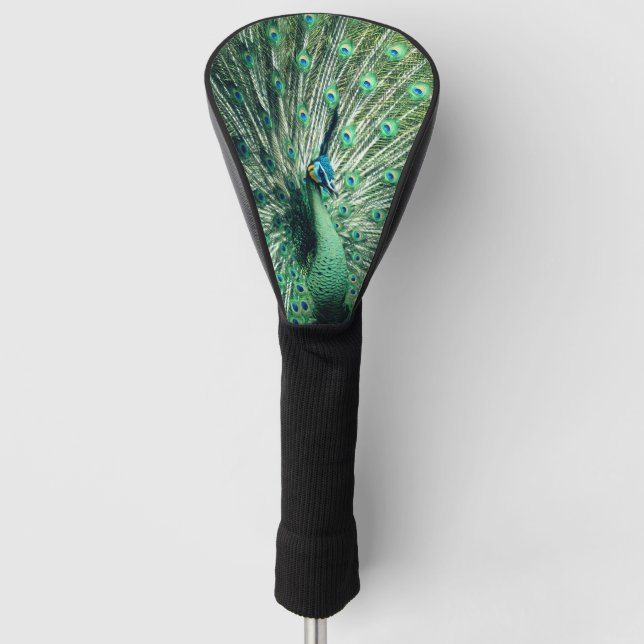Peacock Strut Golf Headcover (Vorderseite)