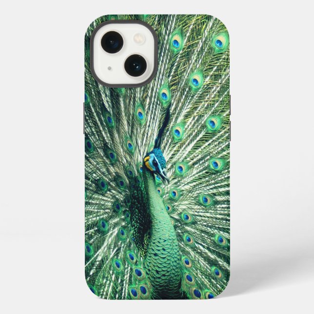 Peacock Strut iPhone Hülle (Rückseite)