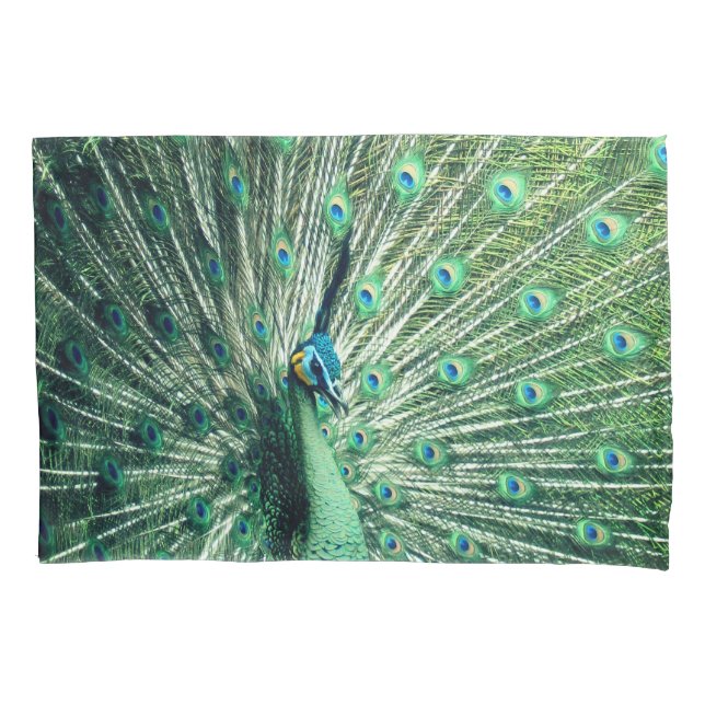 Peacock Strut Kissenbezug (Vorderseite)