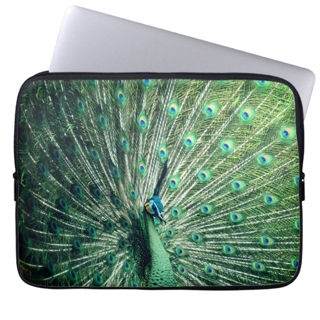 Peacock Strut Laptopschutzhülle (Vorderseite)