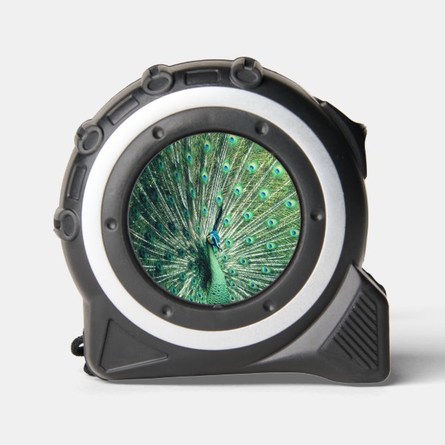Peacock Strut Maßband (Vorderseite)