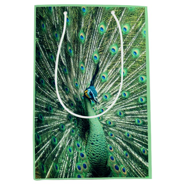 Peacock Strut Mittlere Geschenktüte (Vorderseite)
