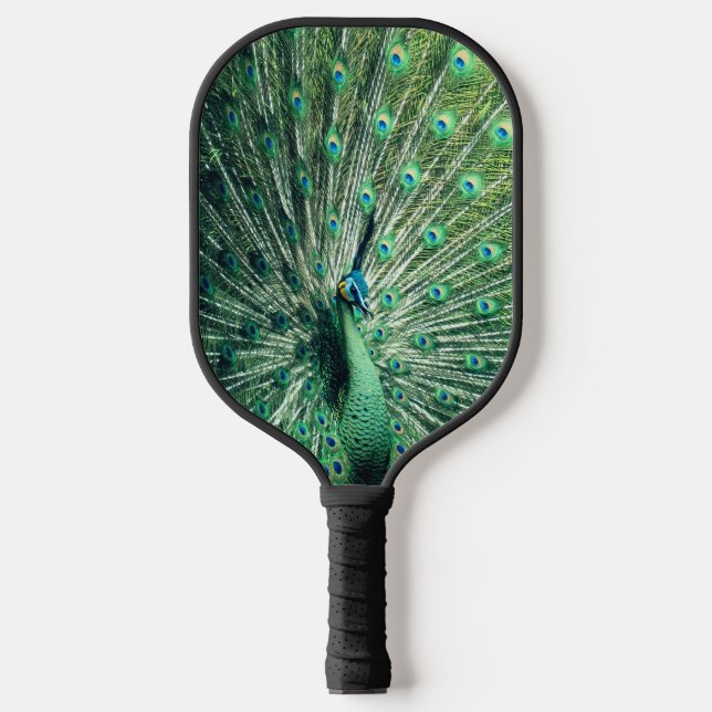 Peacock Strut Pickleball Schläger (Vorderseite)