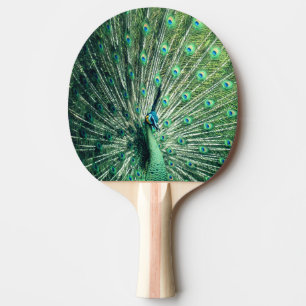 Peacock Strut Tischtennis Schläger