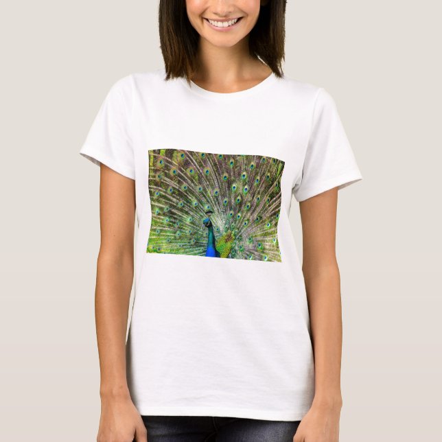 Peacock T-Shirt (Vorderseite)
