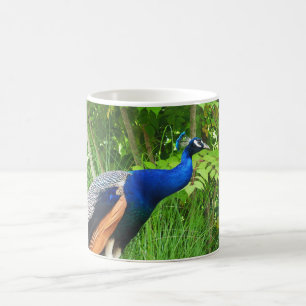 Peacock Tasse