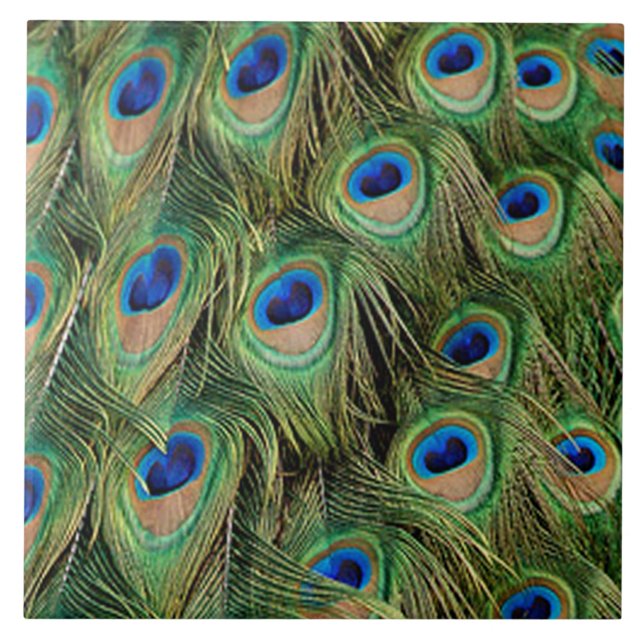 Peacock Tile Fliese (Vorderseite)