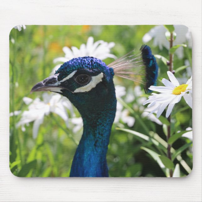 Peacock und Daisies Mouse Pad Mousepad (Vorne)